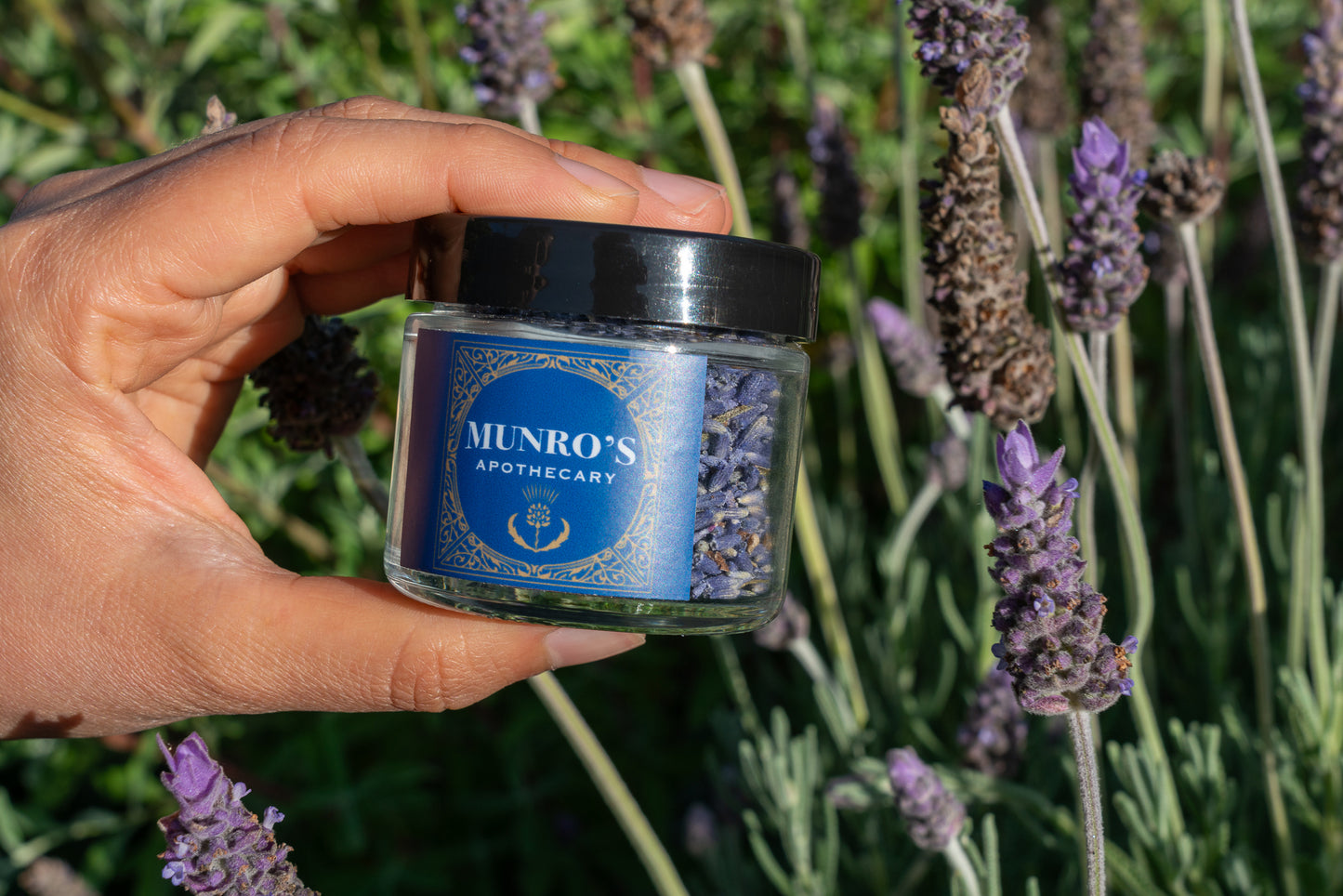 Culinary Lavender Buds